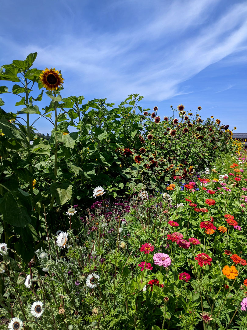 Finnriver Farm & Cidery 8.9.25